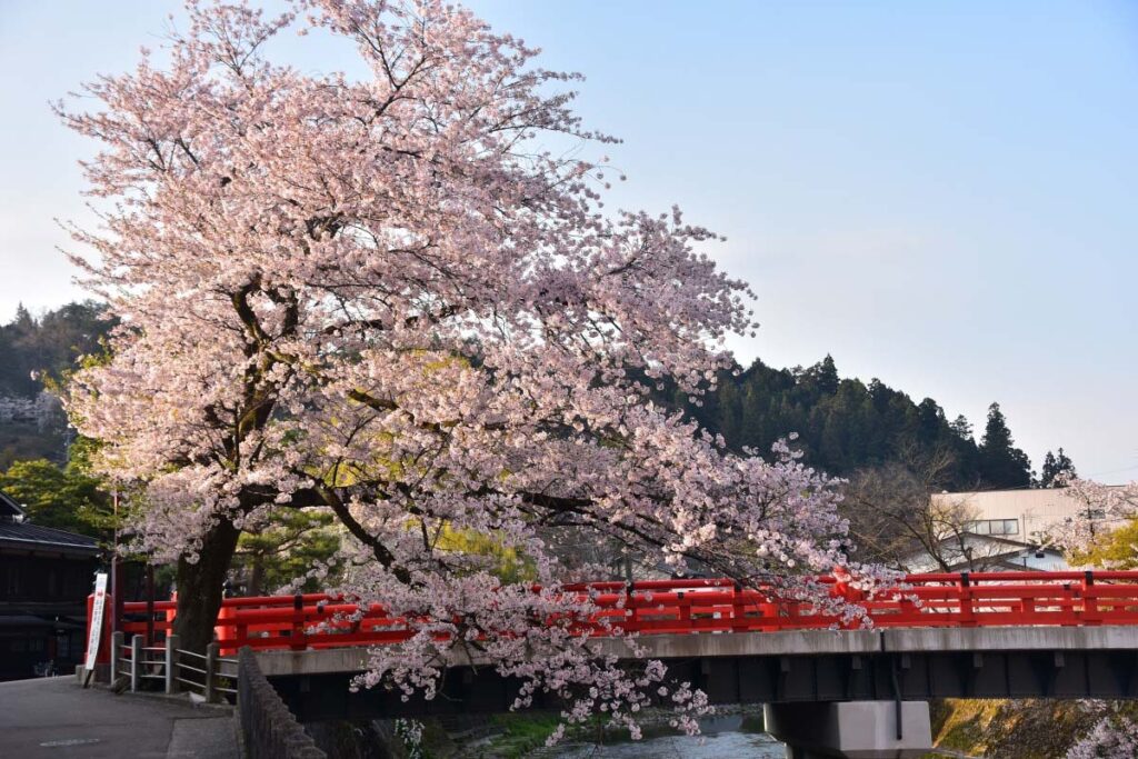 Hida Takayama (Gifu)